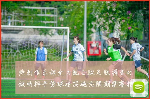 热刺俱乐部全力配合欧足联调查对做纳粹手势球迷实施无限期禁赛措施